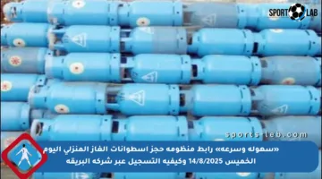 «سهولة وسرعة» رابط منظومة حجز اسطوانات الغاز المنزلي اليوم الخميس 14/8/2025 وكيفية التسجيل عبر شركة البريقة